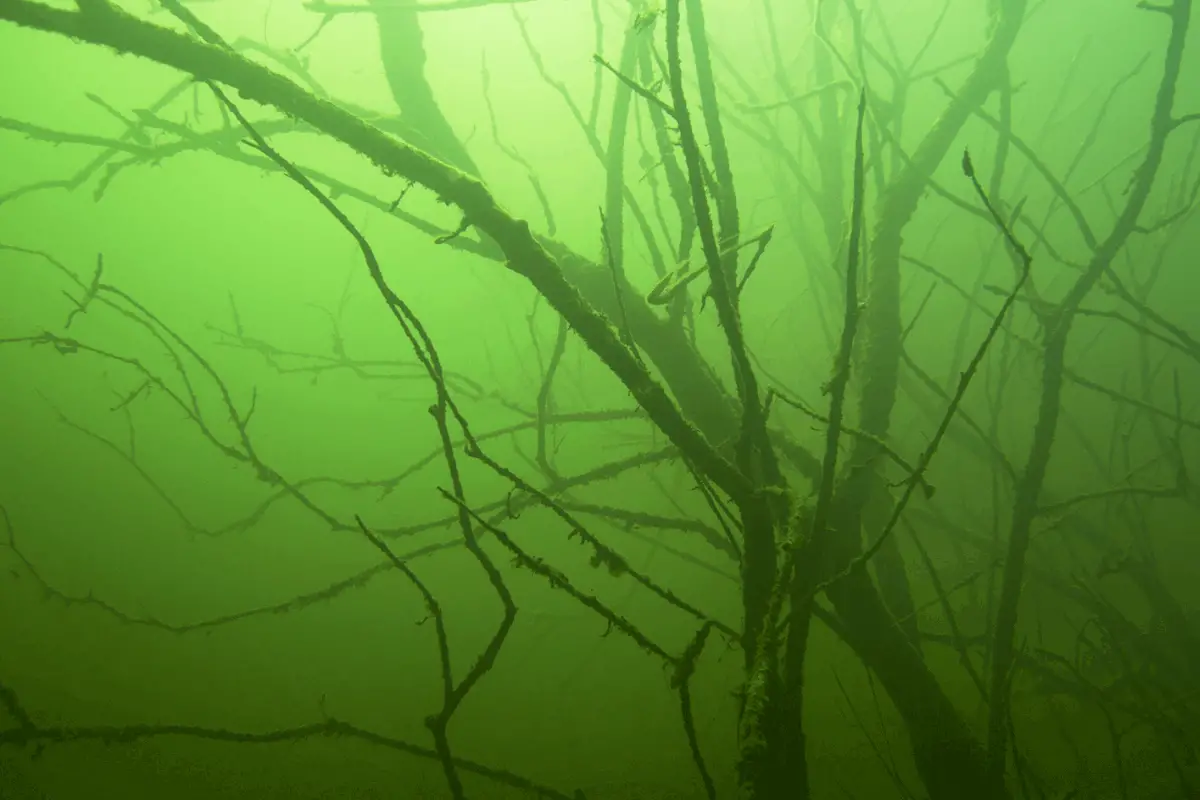 How to Get Better at Bass Fishing The Bass Fishing Life