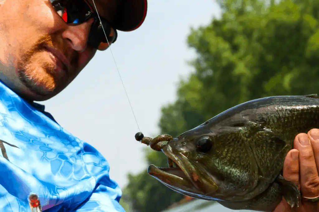 Getting Started Fishing Bass Tournaments: A Complete Guide – The Bass