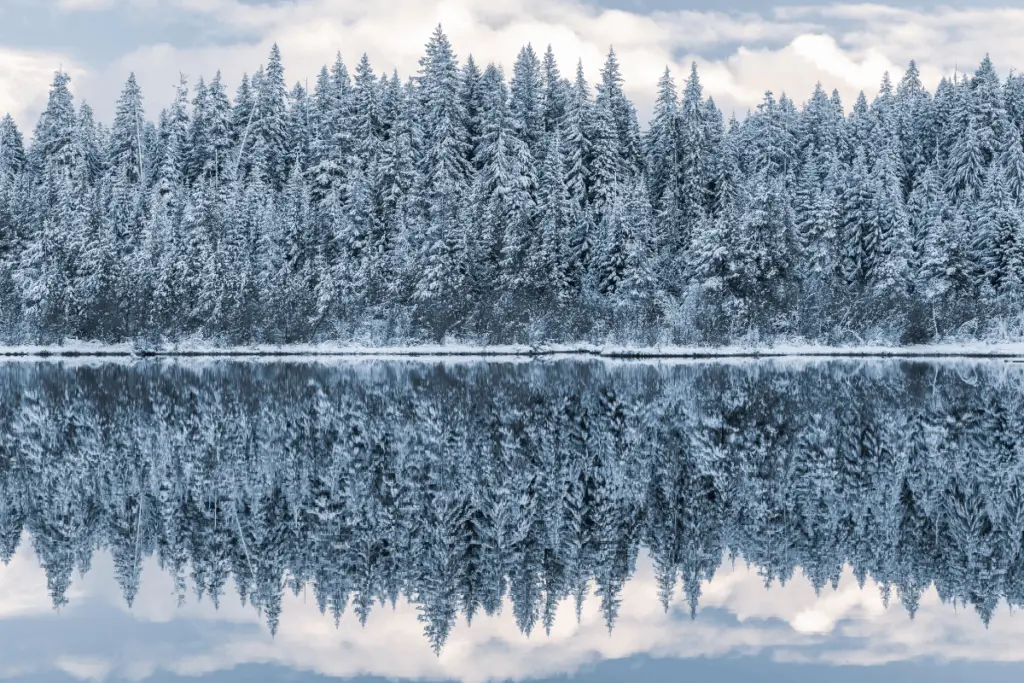 Where Do Bass go in the Winter? The Bass Fishing Life