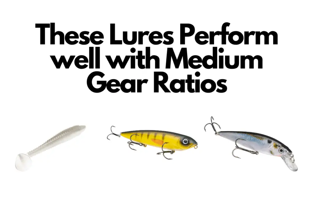 The Best Gear Ratio for Each Bass Fishing Technique The Bass Fishing Life