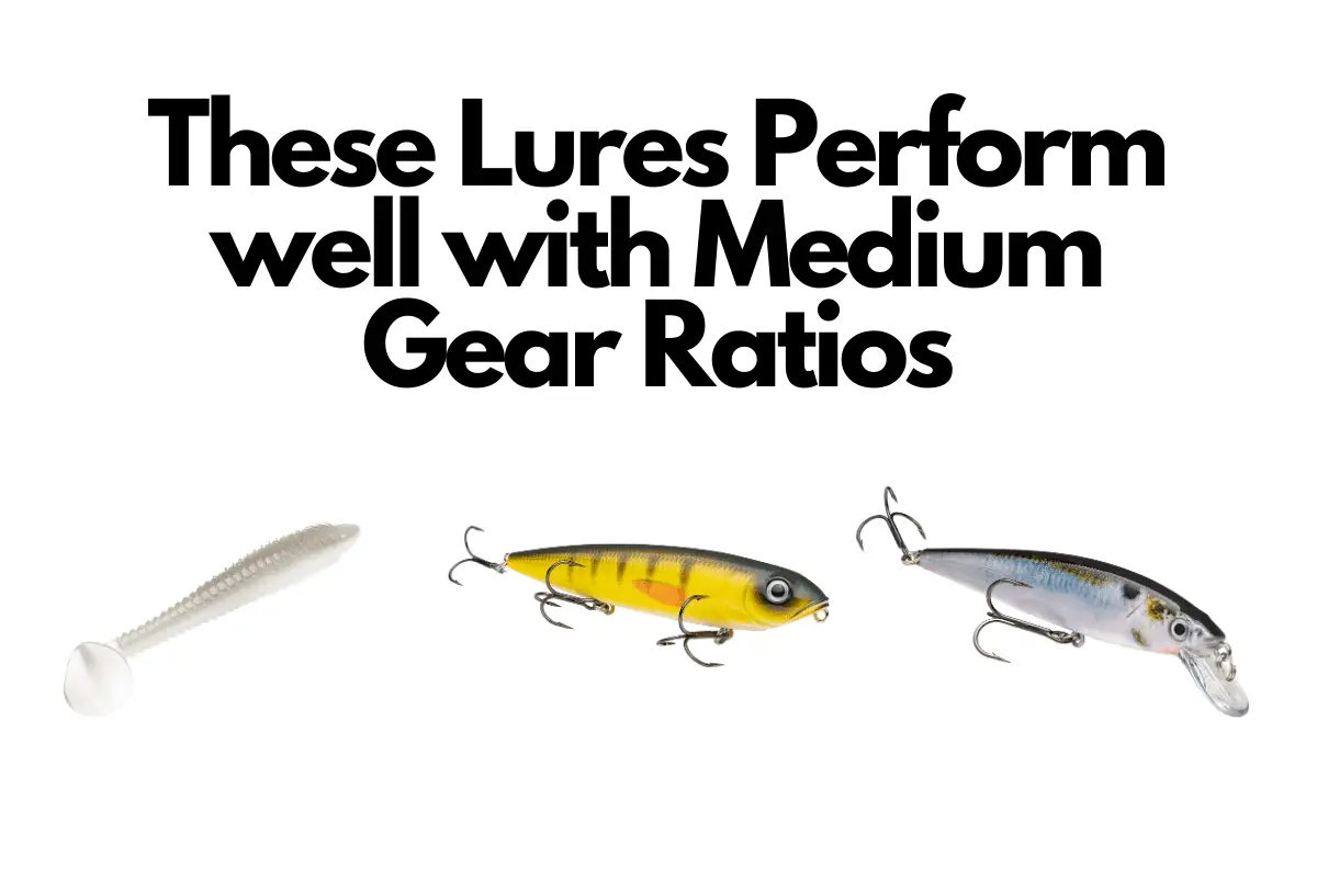 Best Gear Ratio For All Around Bass Fishing Best Gear Ratio For All Around Bass Fishing