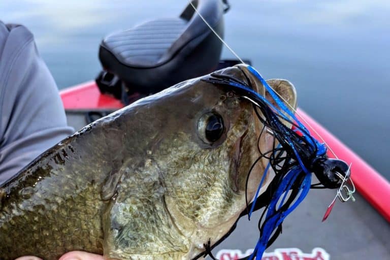 The Best Gear Ratio for Chatterbaits or Bladed Jigs The Bass Fishing Life