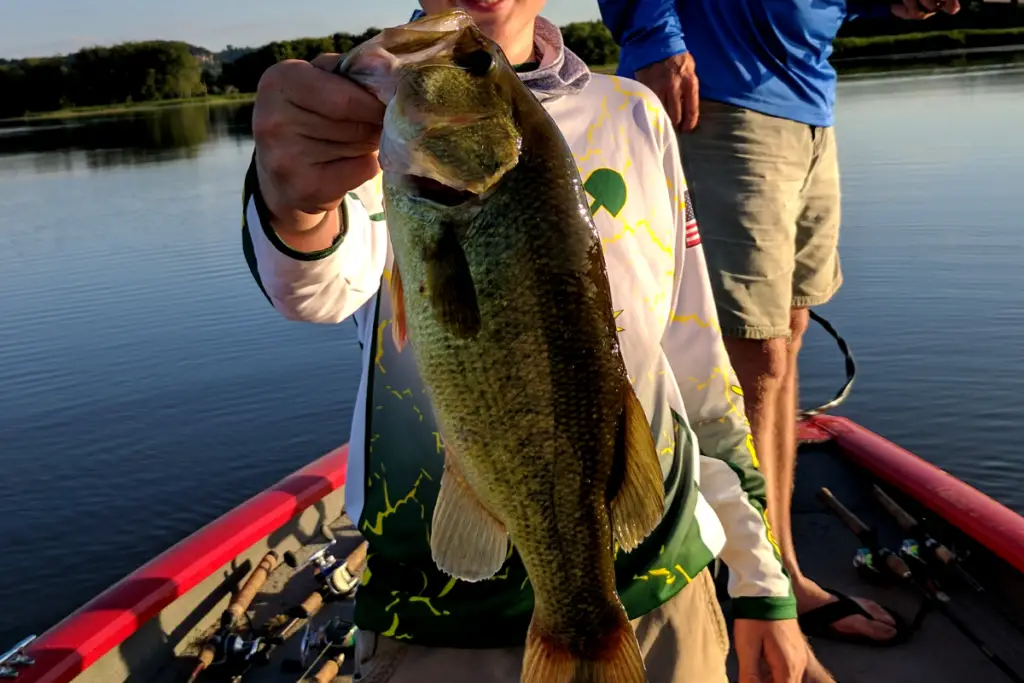 Bass Fishing the Upper Mississippi River – The Bass Fishing Life