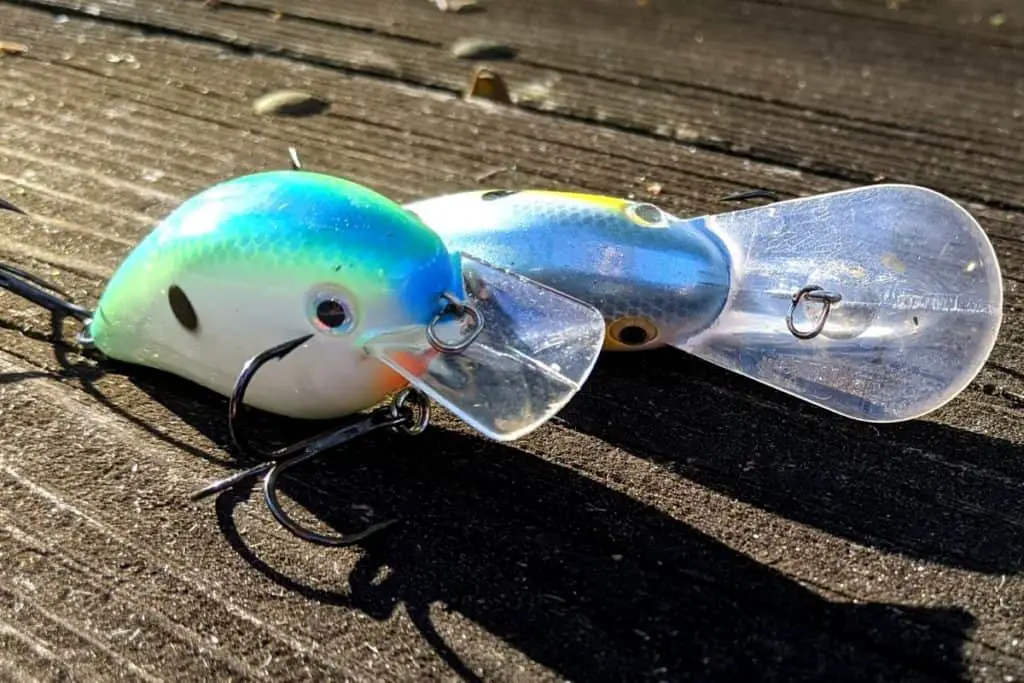 Best Gear Ratio for Fishing Crankbaits The Bass Fishing Life