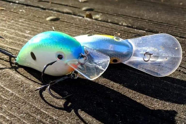 Best Gear Ratio for Fishing Crankbaits The Bass Fishing Life