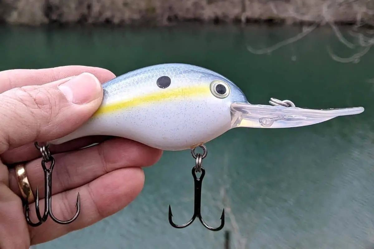 Crankbaits Catch Big Bass You Can Too The Bass Fishing Life