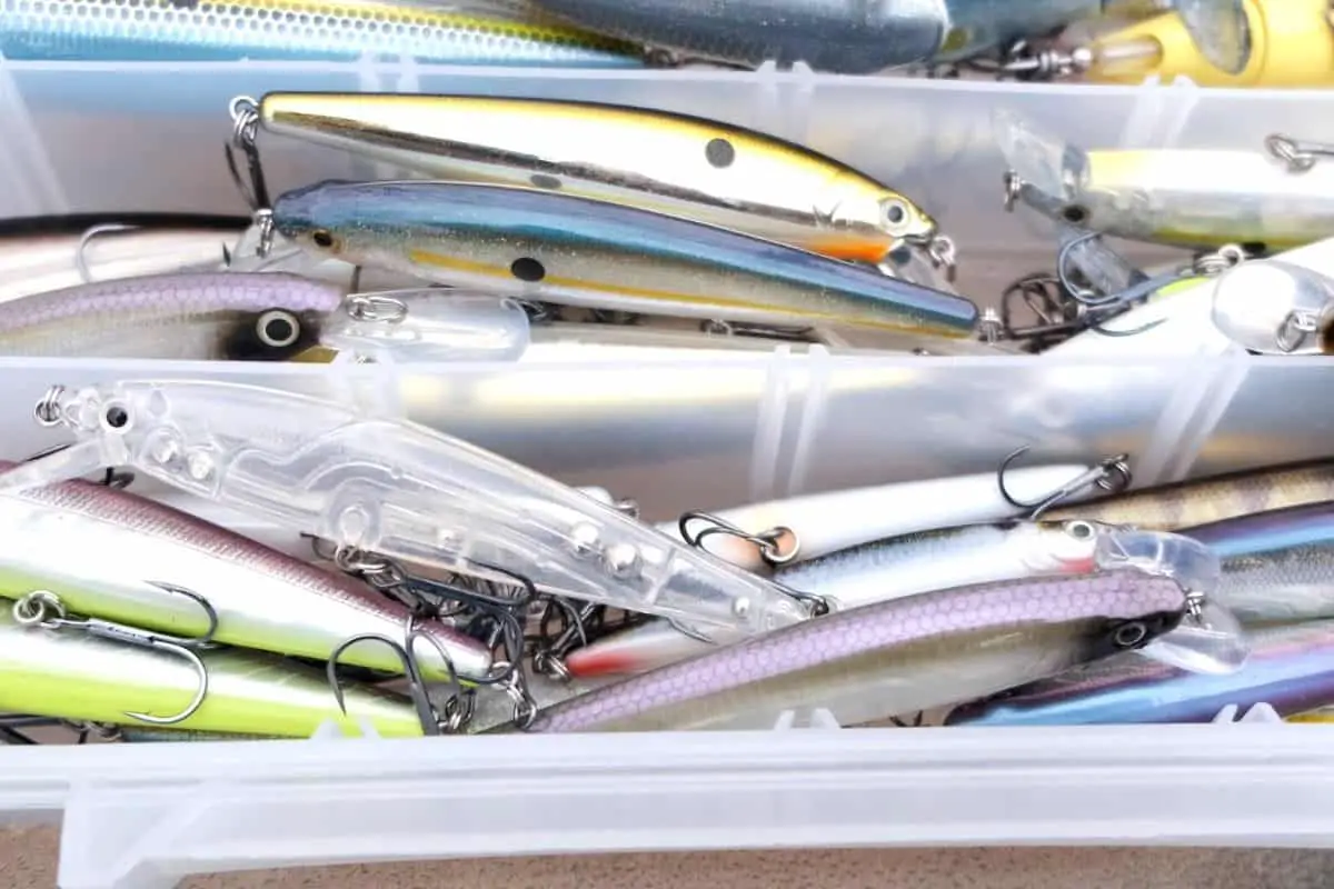 The Best Colors for Jerkbaits Narrow it Down Fast The Bass Fishing Life