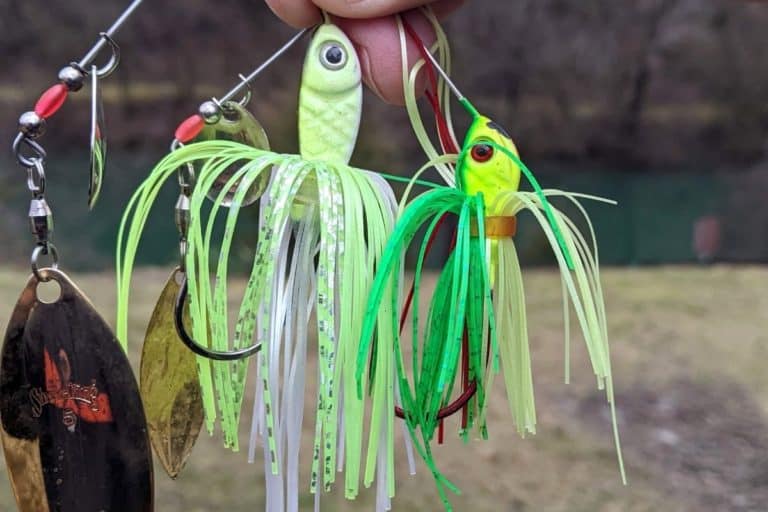 What is the Best Color Spinnerbait? You Need These Four The Bass