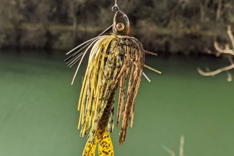 Where Should You Throw a Swim Jig? Key Locations The Bass Fishing Life