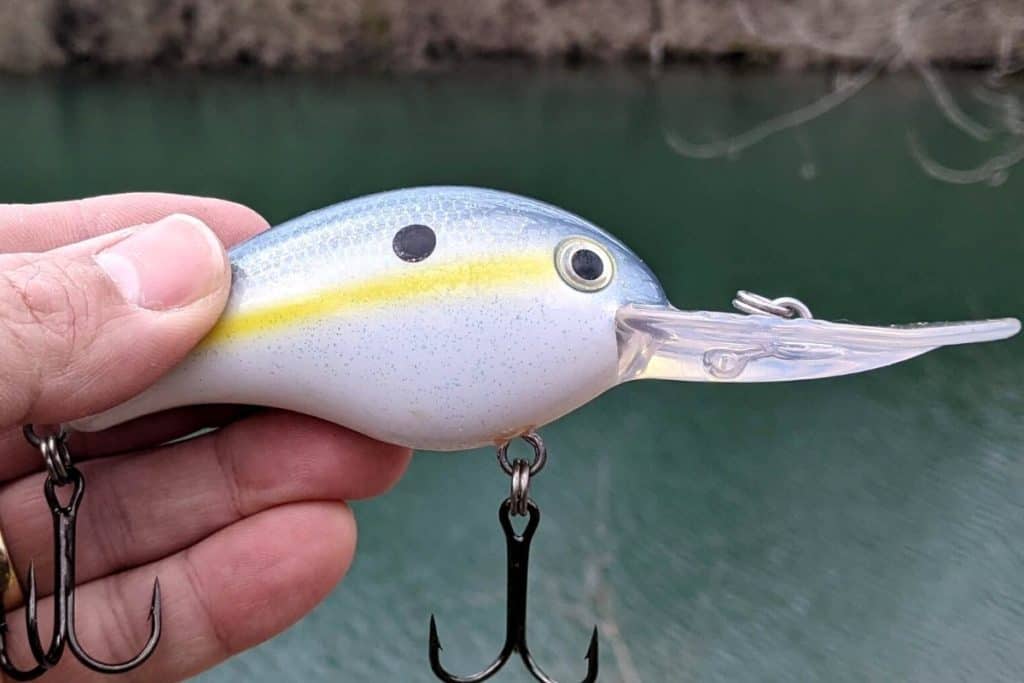 When Should I Throw Crankbaits? Key Factors The Bass Fishing Life