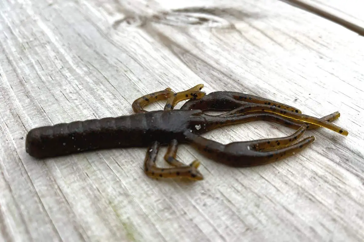 Do Soft Plastic Lures Go Bad? See Photo Evidence The Bass Fishing Life