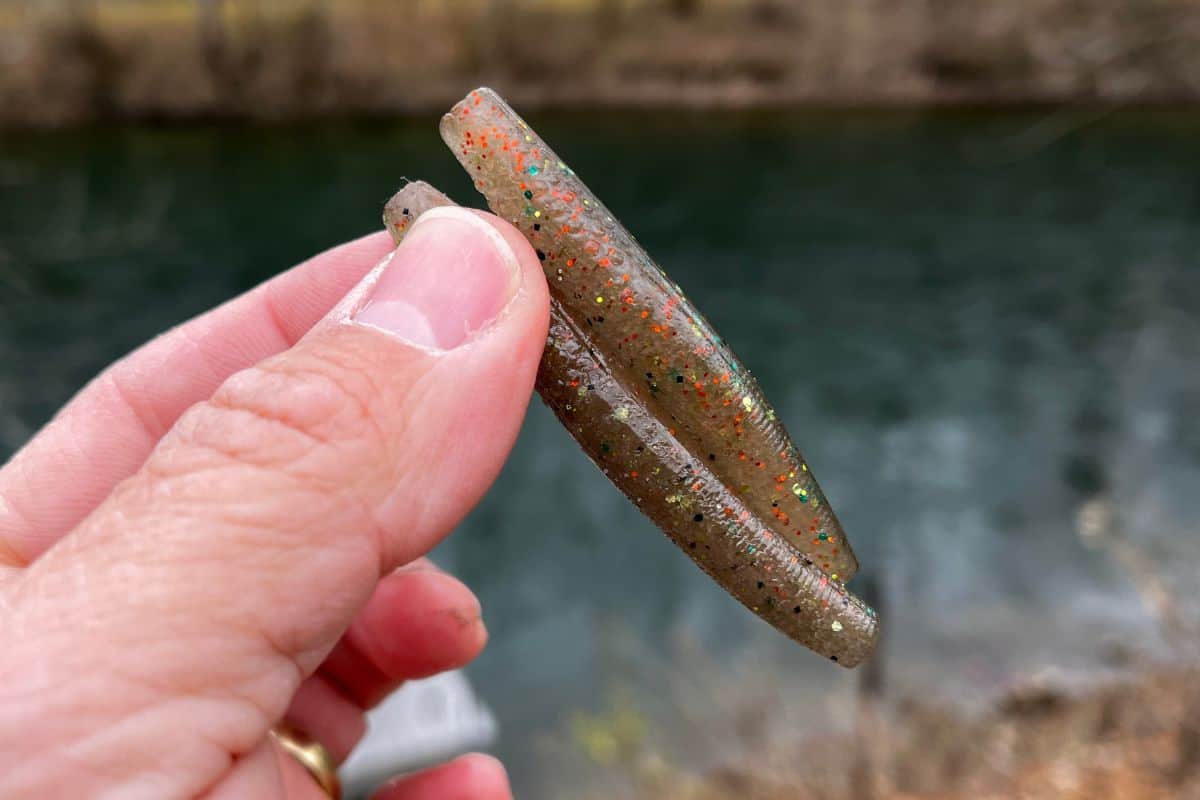 do-soft-plastic-lures-go-bad-see-photo-evidence-the-bass-fishing-life