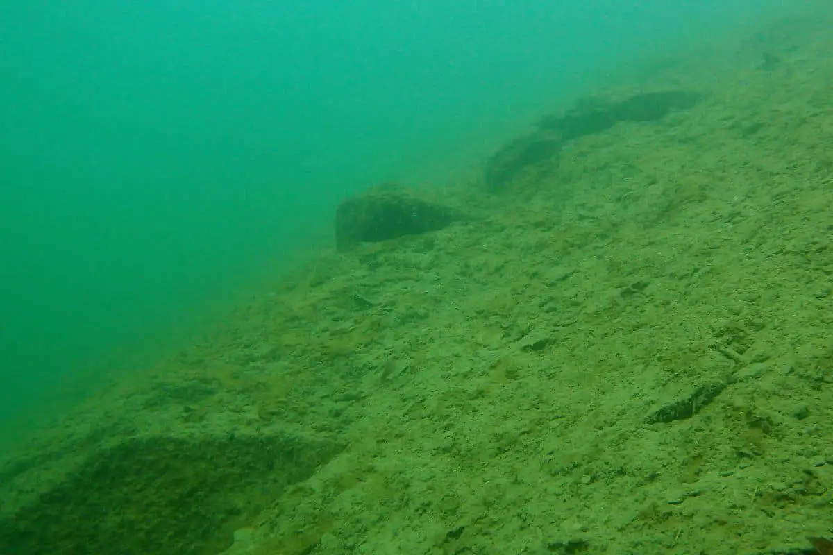 Where Do Bass Go After The Spawn? See Photo Examples The Bass Fishing